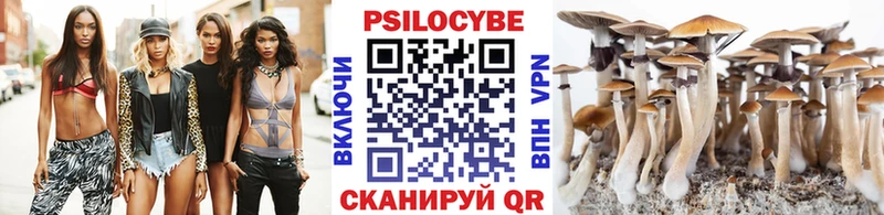 Псилоцибиновые грибы Cubensis  MEGA сайт  Вилюйск 